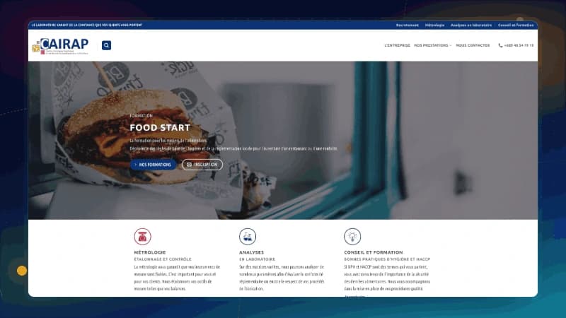 Aperçu du site internet CAIRAP